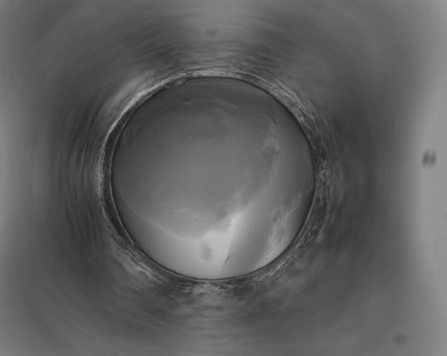 X0000097860290200803281318