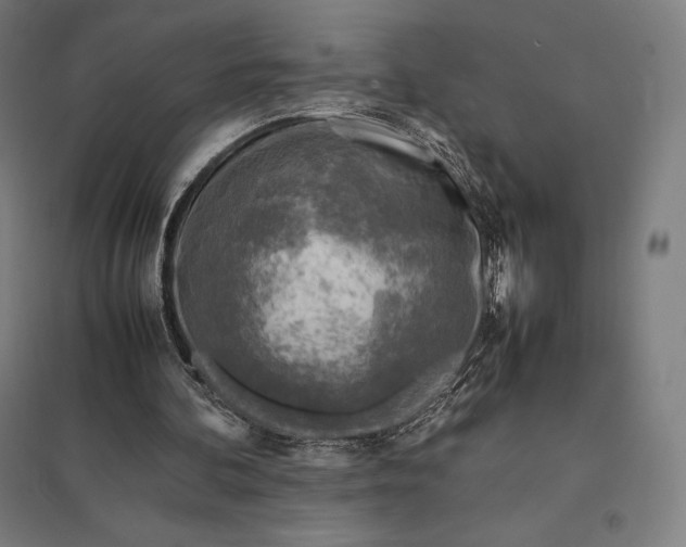 X0000097860292200803281318