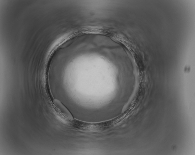 X0000097860293200803281318