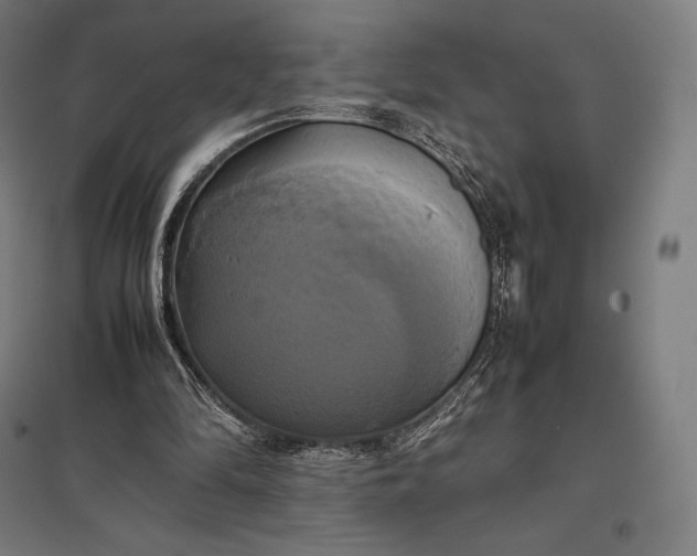 X0000097860294200803281318