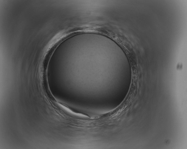 X0000097860295200803281318