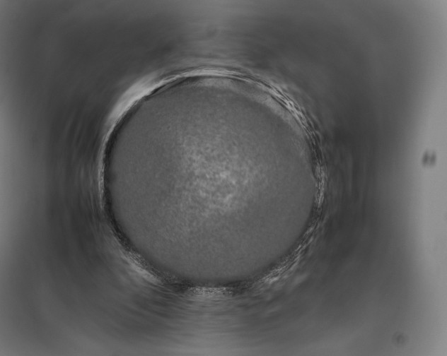 X0000097860296200803281318