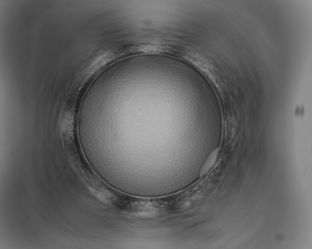 X0000097860297200803281318