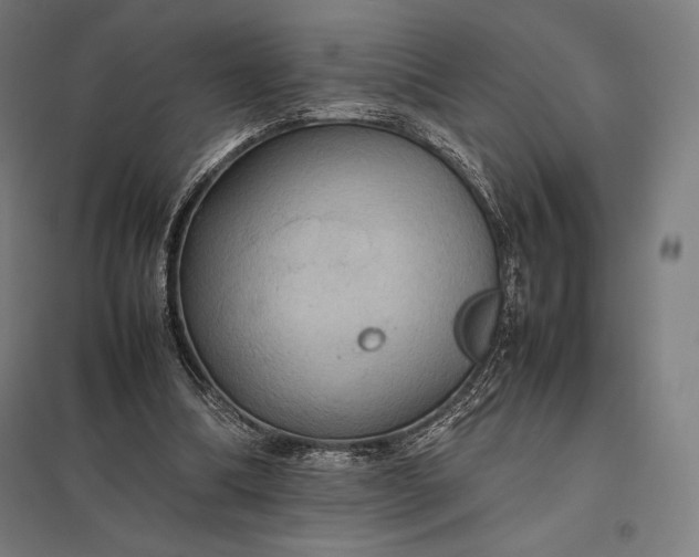 X0000097860298200803281318