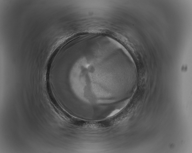 X0000097860299200803281317