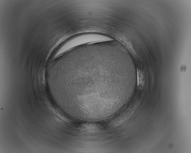 X0000097860300200803281317