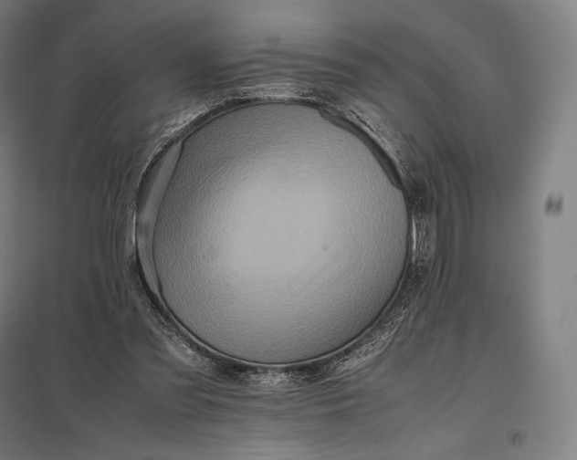 X0000097860301200803281317