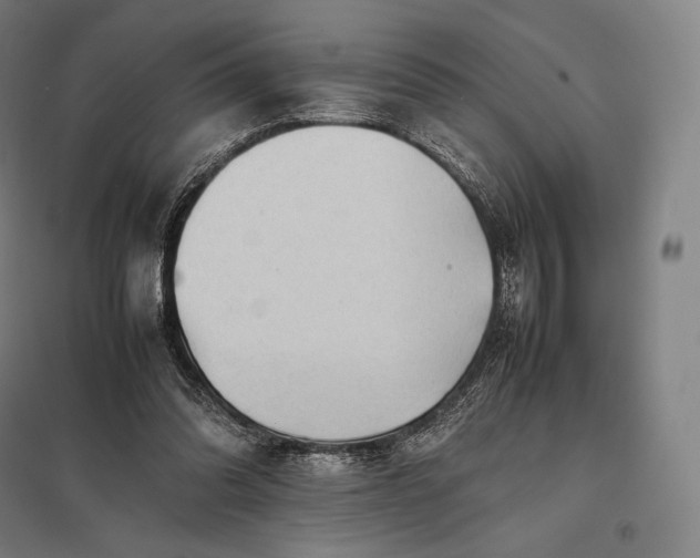 X0000097860302200803281317