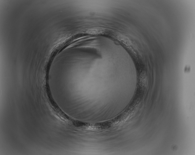 X0000097860303200803281317