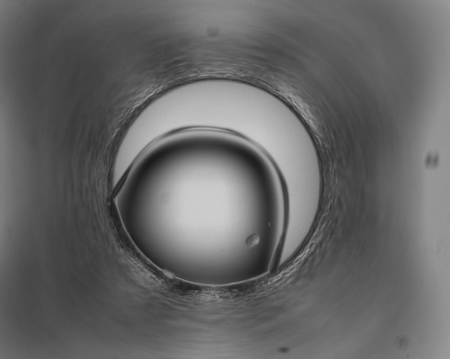 X0000097860305200803281317