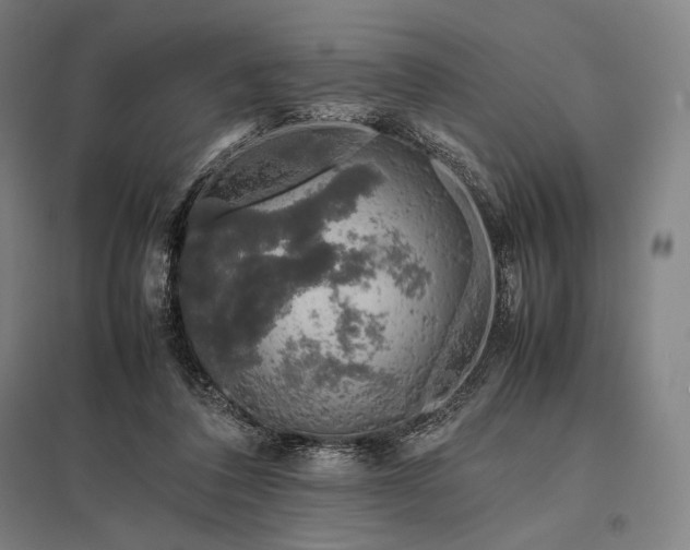 X0000097860308200803281317