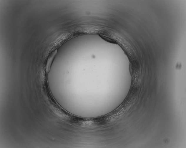 X0000097860309200803281317