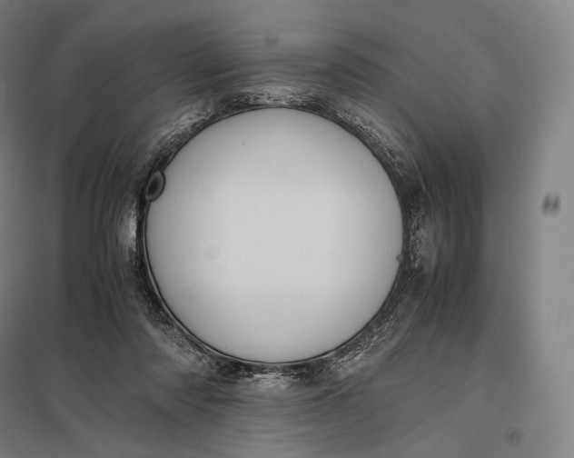 X0000097860310200803281317