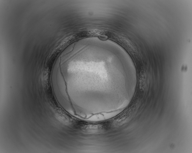 X0000097860314200803281317