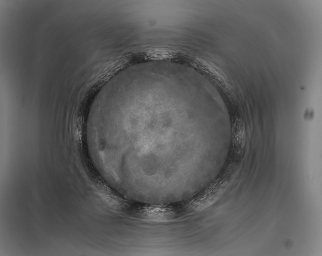 X0000097860315200803281317