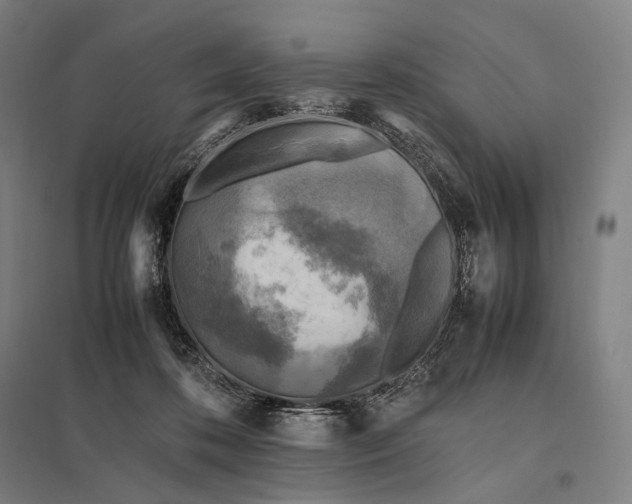 X0000097860316200803281317