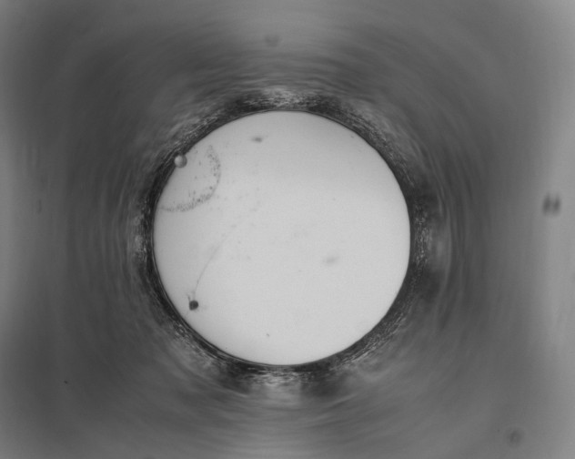 X0000097860317200803281317