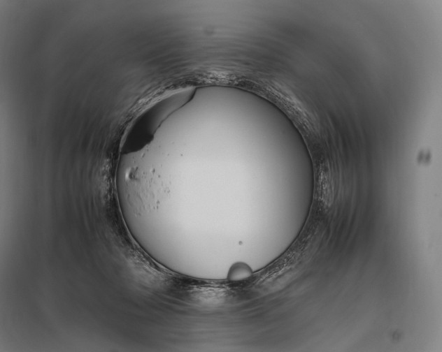 X0000097860318200803281317