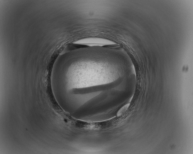 X0000097860319200803281317