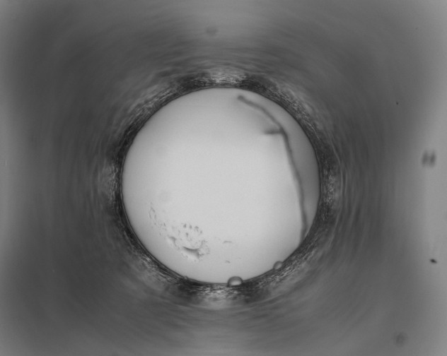 X0000097860321200803281317