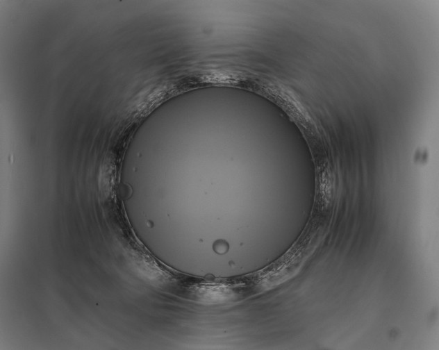 X0000097860322200803281317