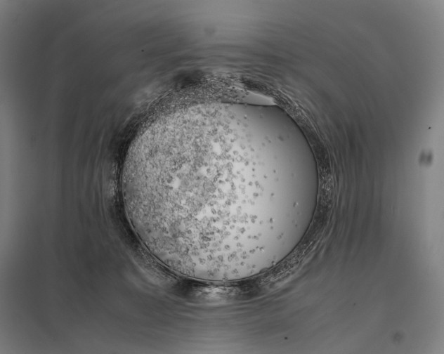 X0000097860323200803281317