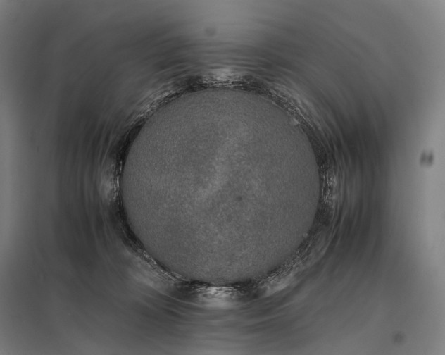 X0000097860324200803281317