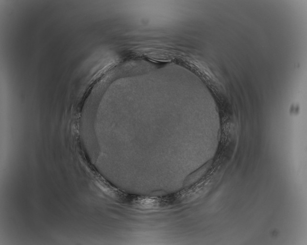 X0000097860325200803281317