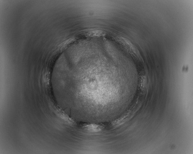 X0000097860326200803281317