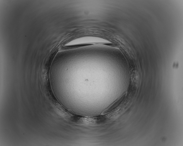 X0000097860327200803281317