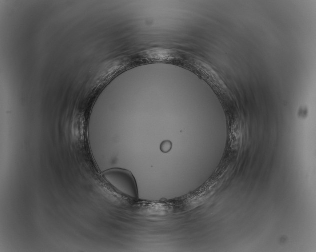 X0000097860330200803281317