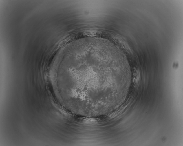 X0000097860332200803281317