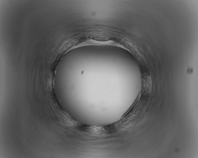 X0000097860333200803281317