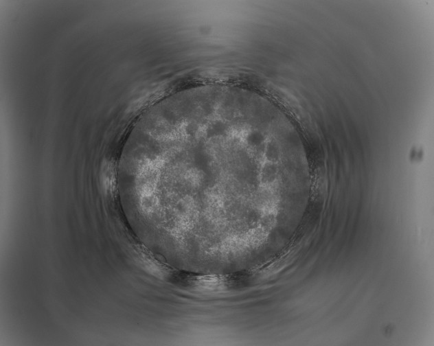 X0000097860335200803281317