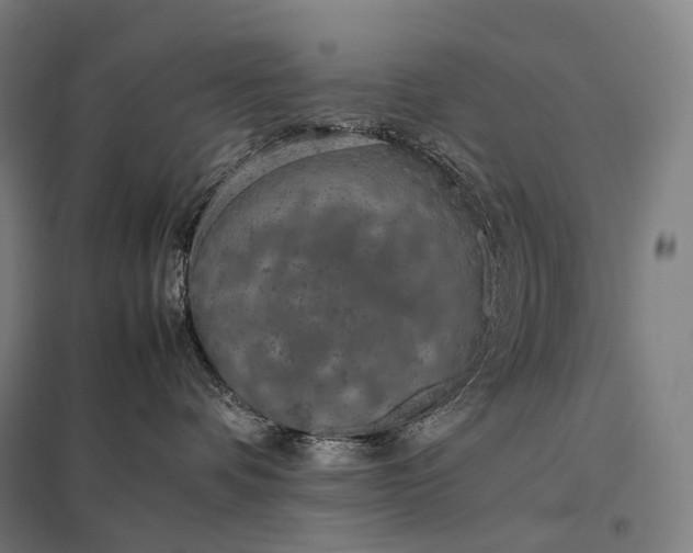 X0000097860336200803281317