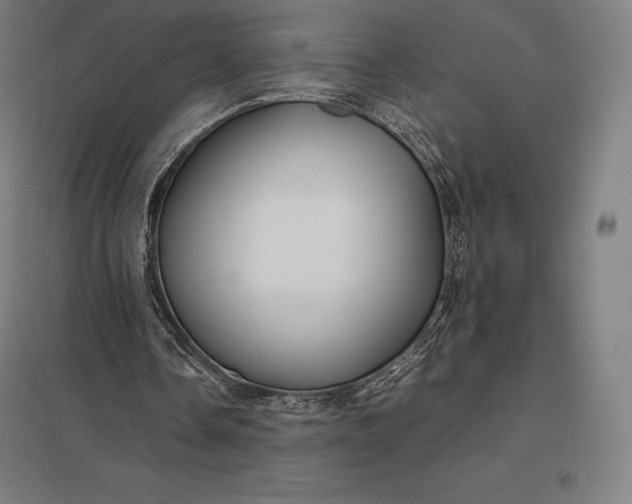 X0000097860338200803281316