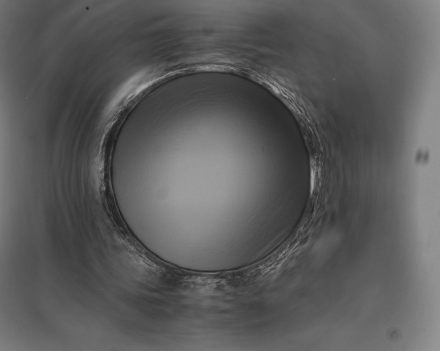 X0000097860339200803281316