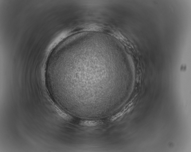 X0000097860341200803281316