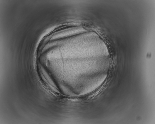 X0000097860342200803281316