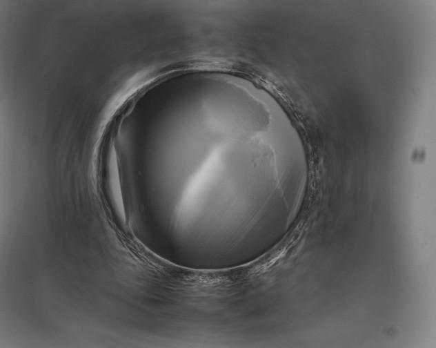 X0000097860343200803281316