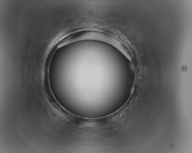 X0000097860344200803281316