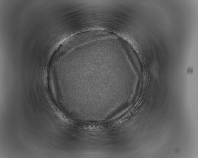 X0000097860345200803281316