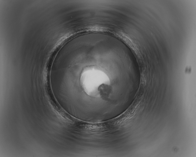 X0000097860347200803281316