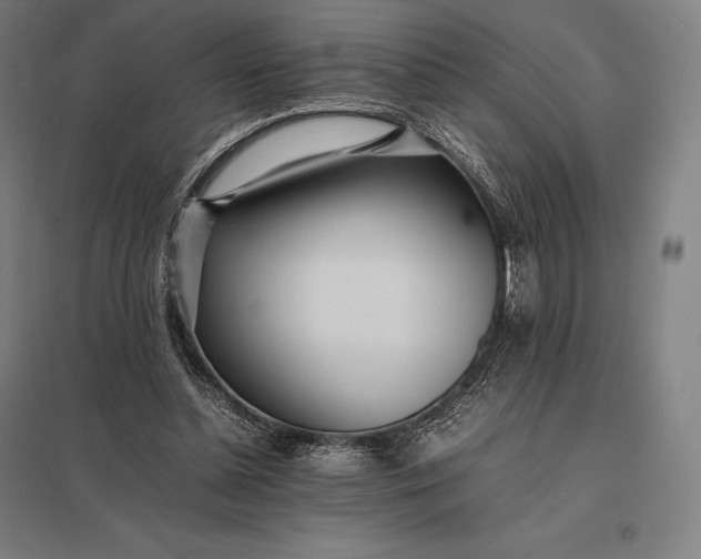 X0000097860348200803281316