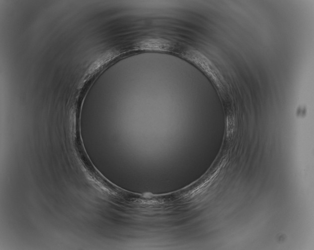 X0000097860349200803281316