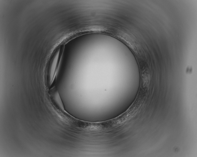 X0000097860350200803281316