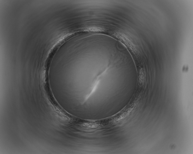 X0000097860351200803281316