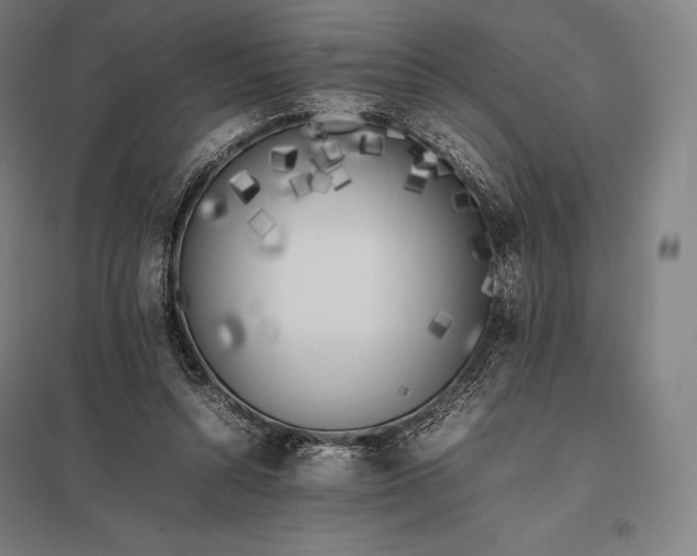 X0000097860352200803281316