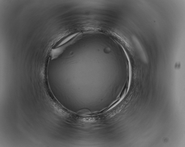 X0000097860353200803281316