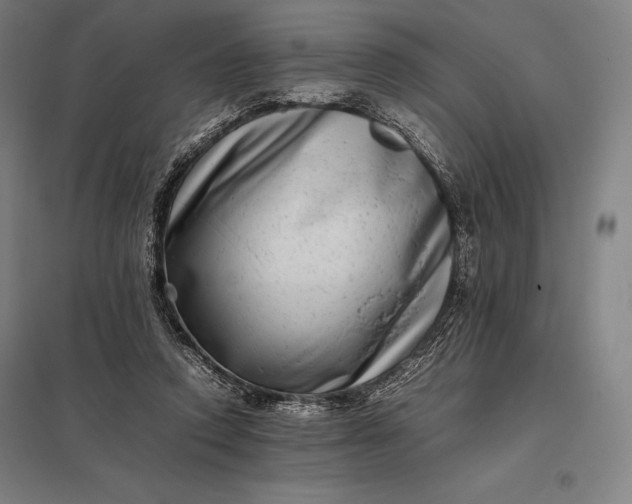 X0000097860354200803281316